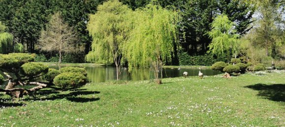 Casa de 5 dormitorios en Romorantin-Lanthenay, France No. 209252 22