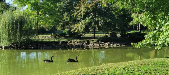 Casa de 5 dormitorios en Romorantin-Lanthenay, France No. 209252 4