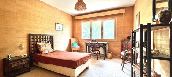 6 bedrooms House in Saint-Jean-de-Braye, France No. 94074 15