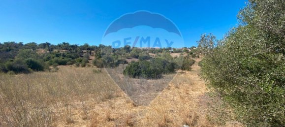 9360m² Land in Sao Bartolomeu de Messines, Portugal No. 39284 3