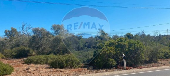 9360m² Land in Sao Bartolomeu de Messines, Portugal No. 39284 2