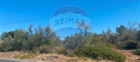 9360m² Land in Sao Bartolomeu de Messines, Portugal No. 39284 4