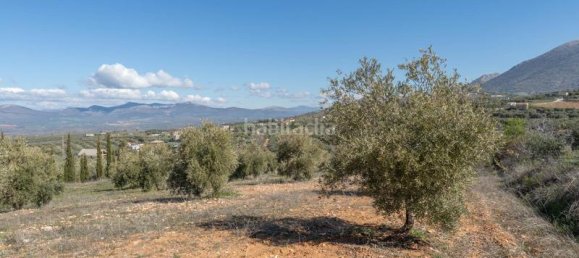 Terrain à Granada, Spain 5787m² No. 175739 11