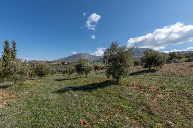 Terrain à Granada, Spain 5787m² No. 175739