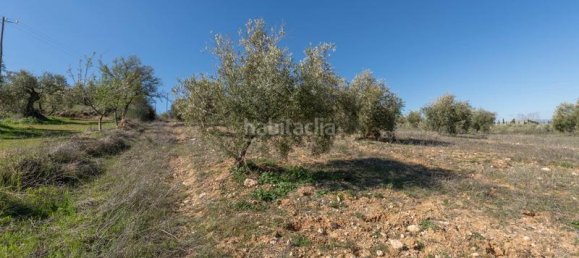 Terrain à Granada, Spain 5787m² No. 175739 3