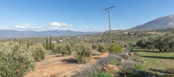 Terrain à Granada, Spain 5787m² No. 175739 17