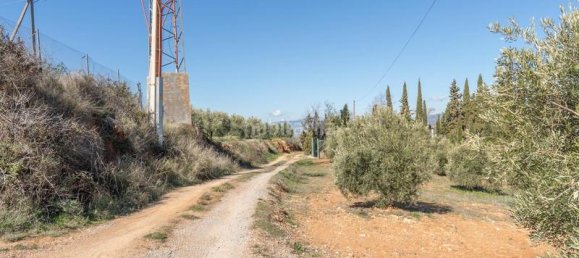 Terrain à Granada, Spain 5787m² No. 175739 18
