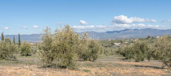 Terrain à Granada, Spain 5787m² No. 175739 22