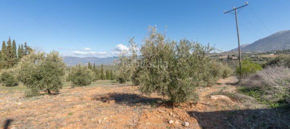 Terrain à Granada, Spain 5787m² No. 175739 21