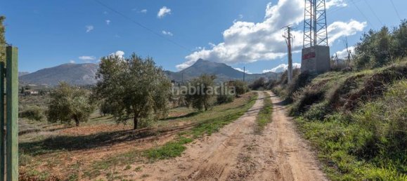 Terrain à Granada, Spain 5787m² No. 175739 10