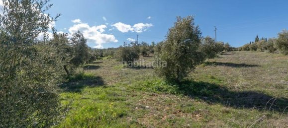 Terrain à Granada, Spain 5787m² No. 175739 4