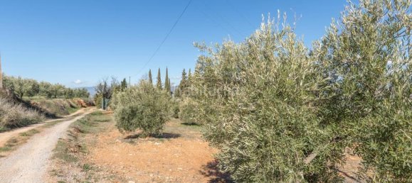 Terrain à Granada, Spain 5787m² No. 175739 19