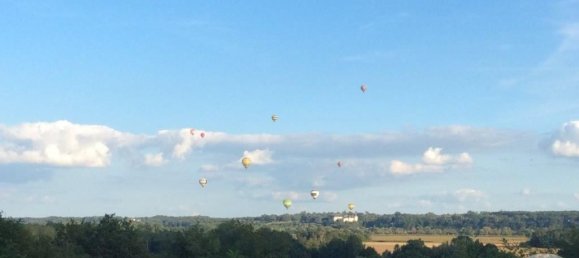 Вилла с 6 спальнями в Кур-сюр-Луара, Франция № 273978 17