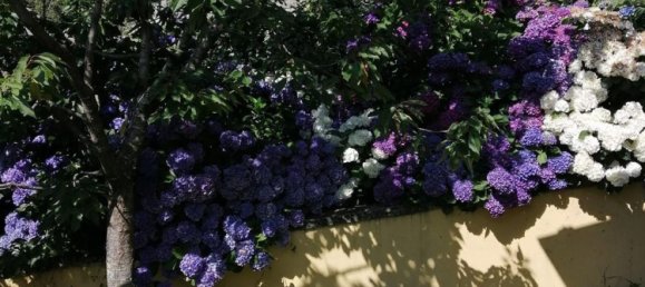 5 chambres Maison à Abetone Cutigliano, Italy No. 362638 8