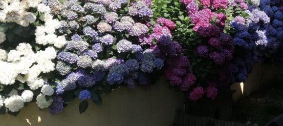 5 chambres Maison à Abetone Cutigliano, Italy No. 362638 7