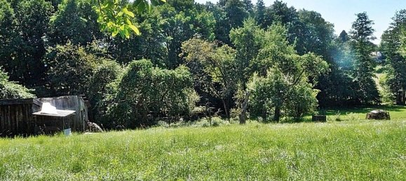 5غرفة تاون هاوس في Cirey-sur-Vezouze, France رقم 210017 12