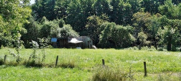 5غرفة تاون هاوس في Cirey-sur-Vezouze, France رقم 210017 5