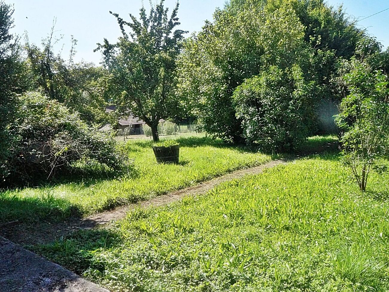 5غرفة تاون هاوس في Cirey-sur-Vezouze, France رقم 210017