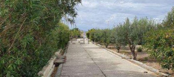 8غرفة فيلا في Marsala, Italy رقم 216782 65