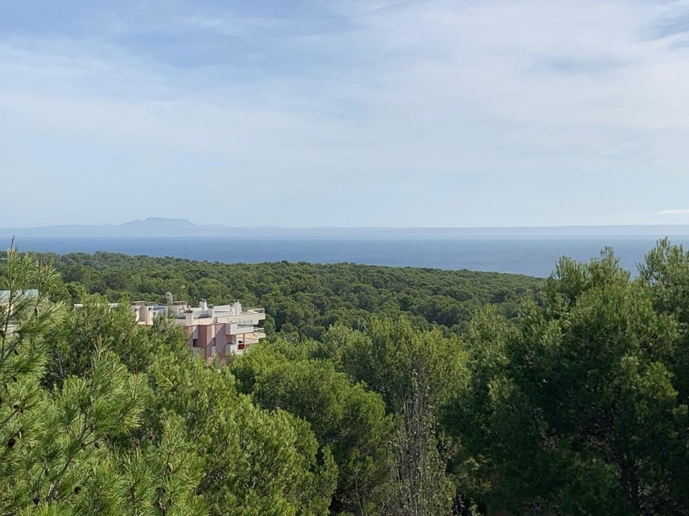 2 bedrooms Penthouse in Sol De Mallorca, Spain No. 16214