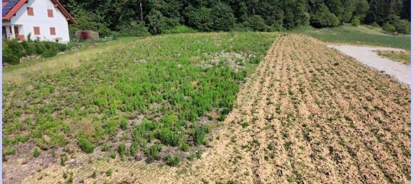 Grundstück in Kirchberg an der Raab, Austria, Nr. 130956 5