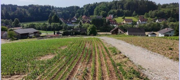 Grundstück in Kirchberg an der Raab, Austria, Nr. 130956 4