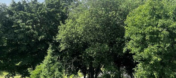 3-Zimmer Doppelhaus in Mettmann, Germany, Nr. 297901 6