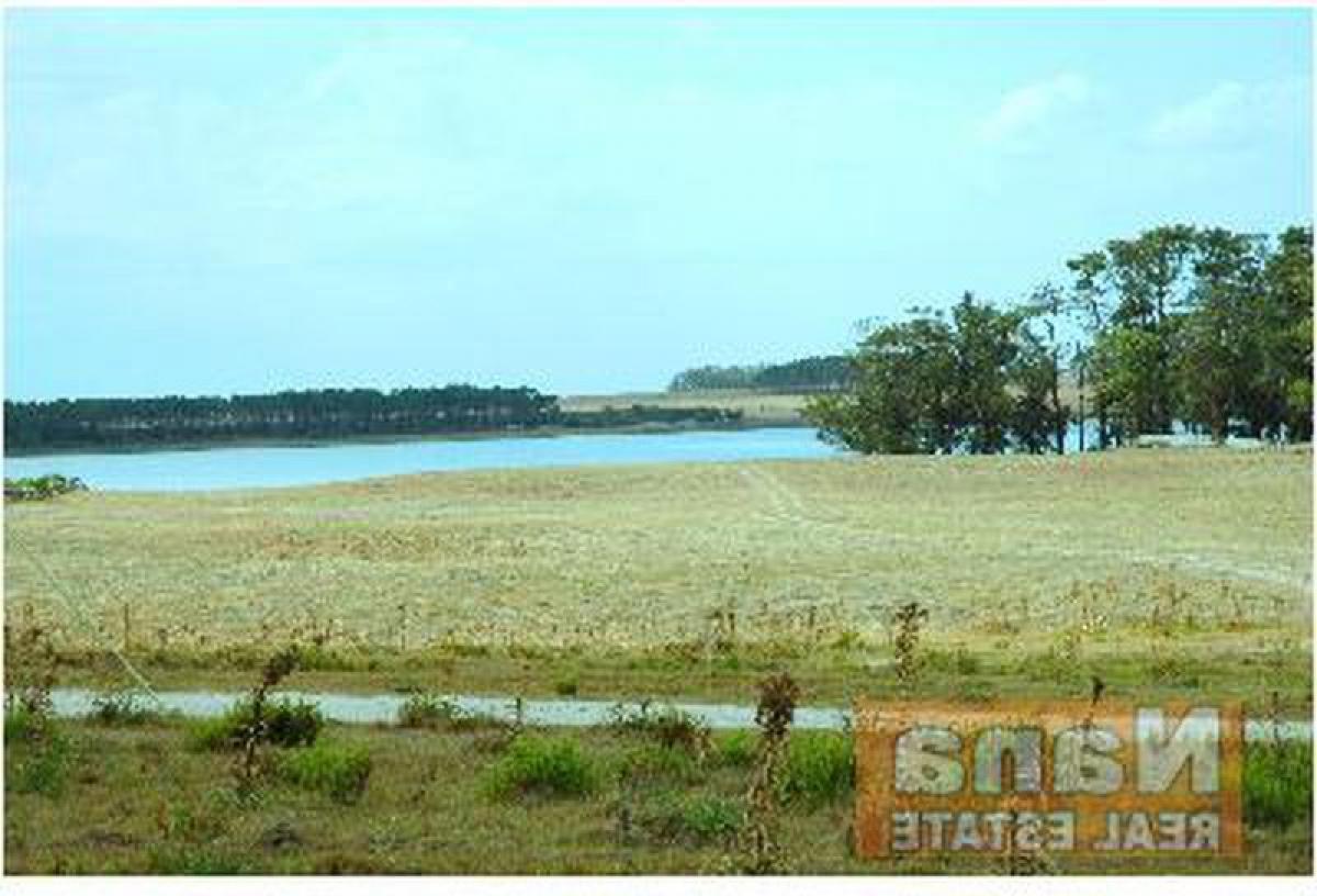  Farm in Maldonado, Uruguay No. 14645