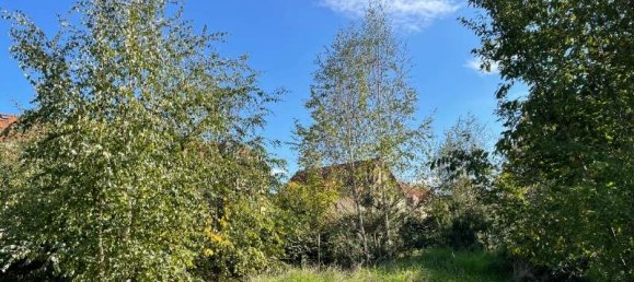  Land in Sachsische Schweiz-Osterzgebirge, Germany No. 193475 7