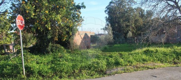 1180m² Land in Lourical, Portugal No. 89640 7