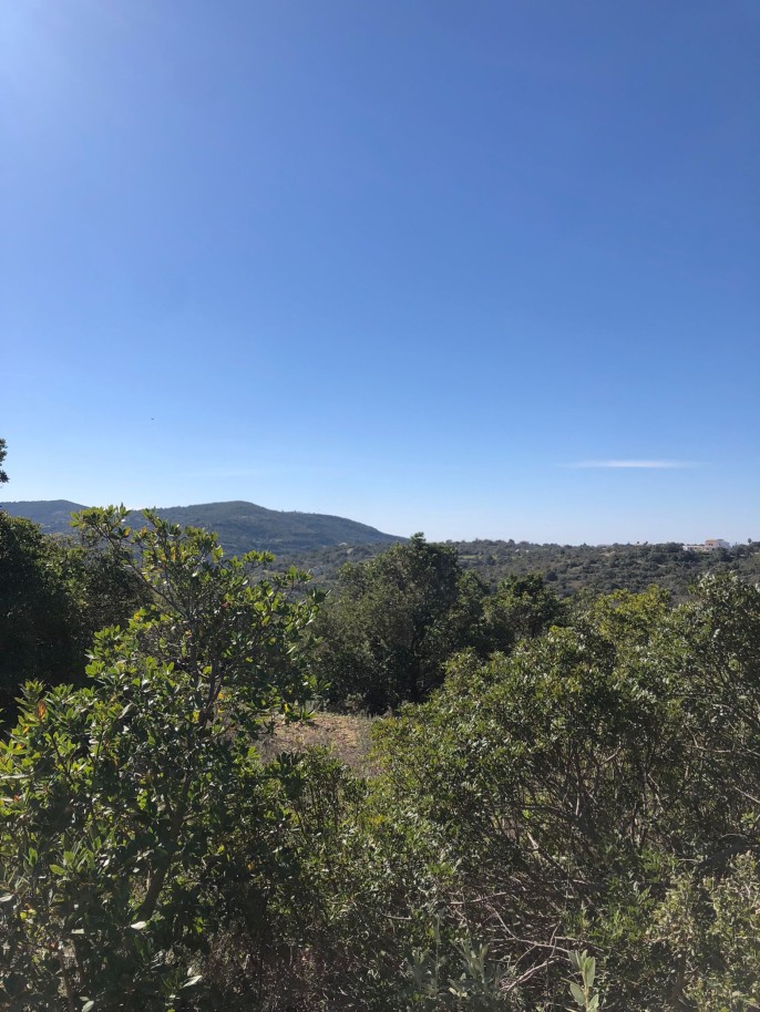 Terreno en Sao Bras de Alportel, Portugal No. 60701