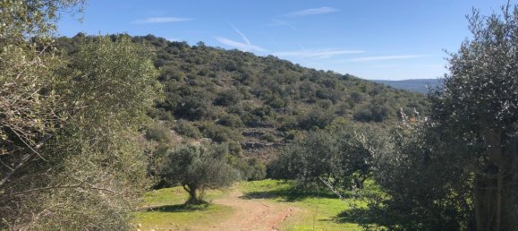Terreno en Sao Bras de Alportel, Portugal No. 60701 8