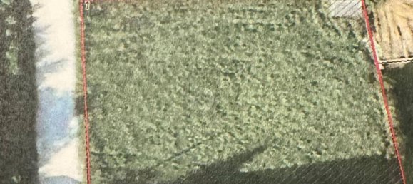 Grundstück in Neustift-Innermanzing, Austria, Nr. 194171 5