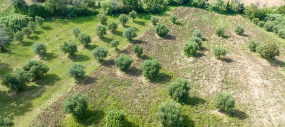 Дом с 6 комнатами в Монте Сан Вито, Италия № 171231 10