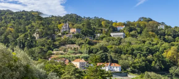 5 Schlafzimmer Haus in Sintra, Portugal, Nr. 95509 31