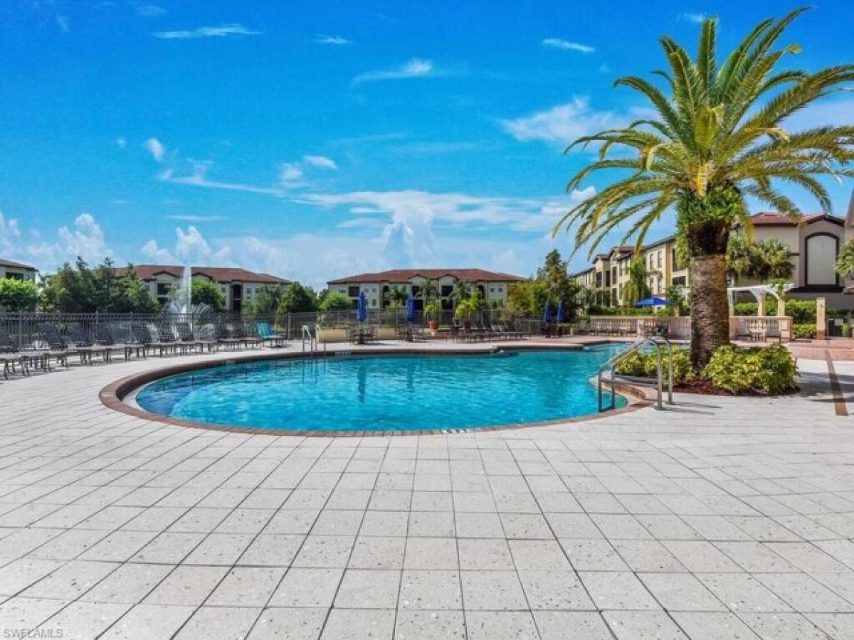 Studio in Naples, USA, Nr. 377557