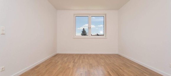 4 rooms Townhouse in Weikendorf, Austria No. 239949 8