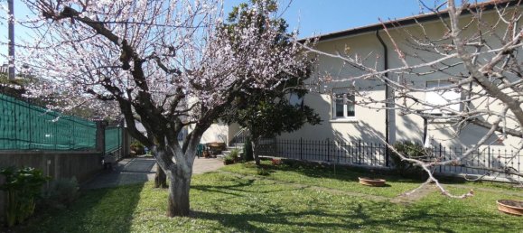 3-Zimmer Wohnung in Trieste, Italy, Nr. 38468 2