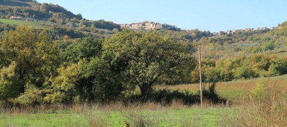 10 rooms House in Ficulle, Italy No. 139227 10