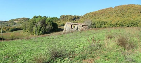10 rooms House in Ficulle, Italy No. 139227 8