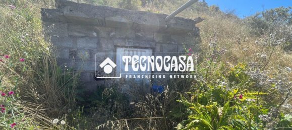 Grundstück in Galdar, Spain, Nr. 153462 5