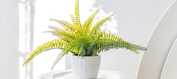 1 غرف نوم شقة في Munich, Germany رقم 308370 9