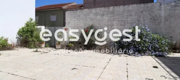 5 bedrooms House in Montemor o Velho, Portugal No. 180132 27