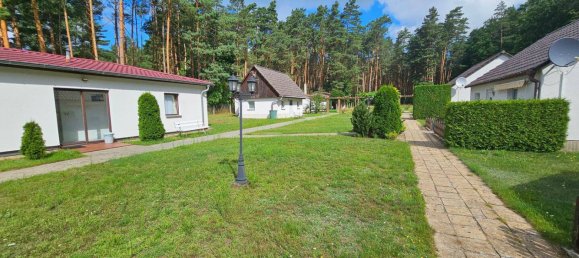 Café / restaurant à Potsdam-Mittelmark, Germany 150m² No. 350414 24