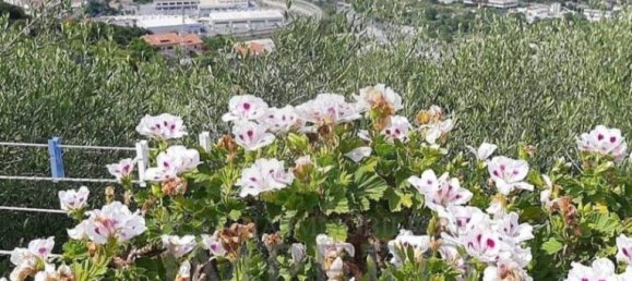 2 Schlafzimmer Villa in Ventimiglia, Italy, Nr. 201714 14