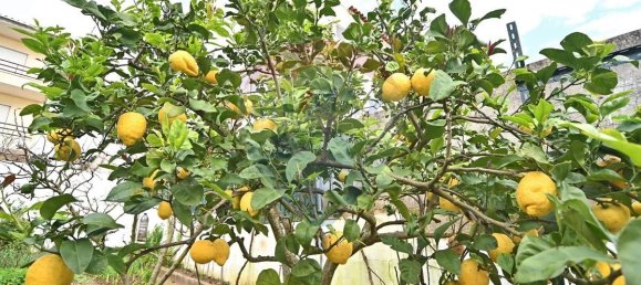 Дом с 4 спальнями в Амадора, Португалия № 173862 45