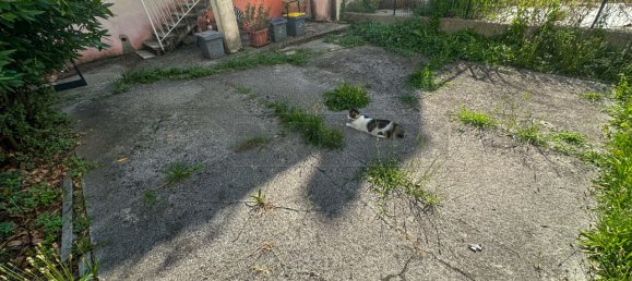 5 Schlafzimmer Wohnung in Udine, Italy, Nr. 287219 16