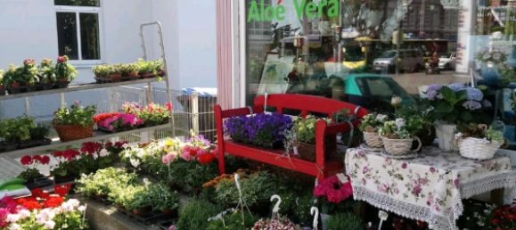 47m² Commercial property in Schwerin, Germany No. 293908 4