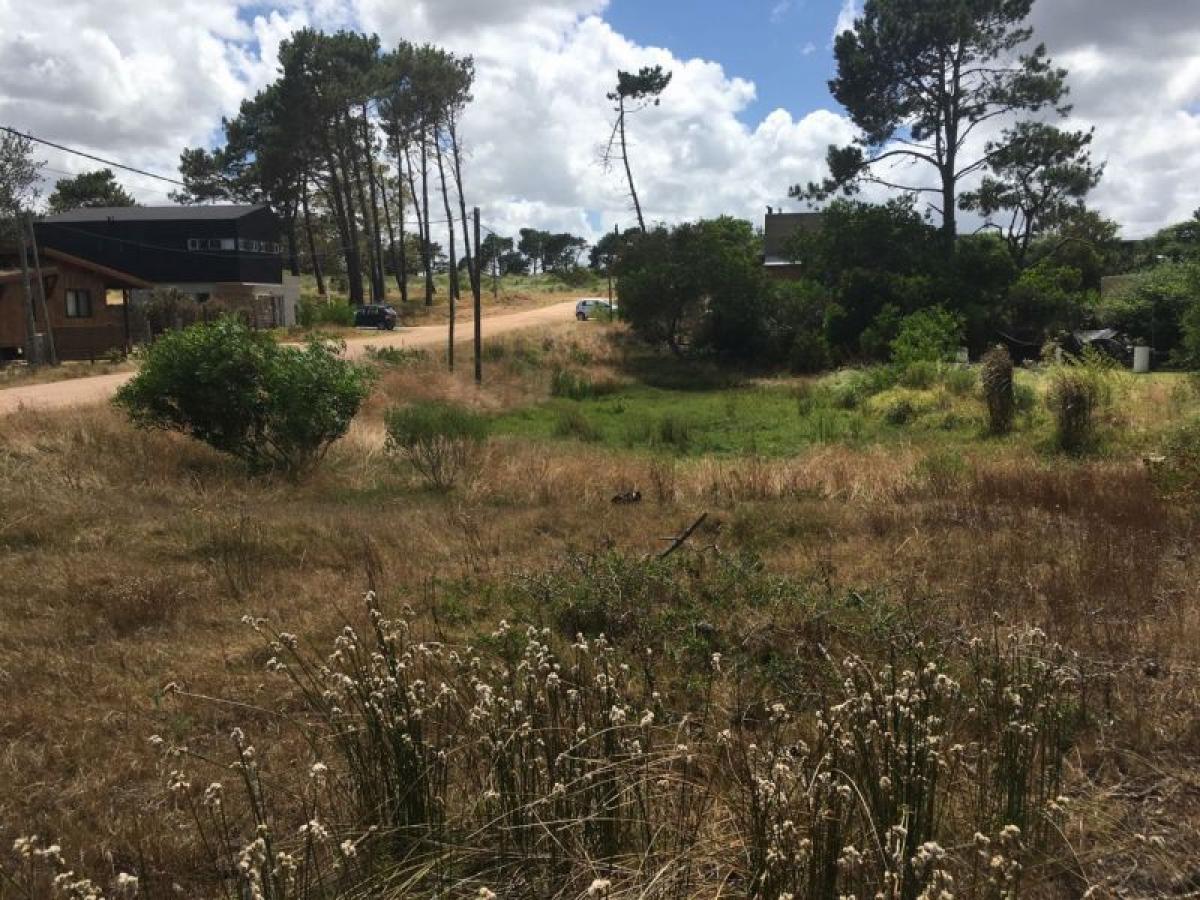 Terreno em Maldonado, Uruguay N.º 15257