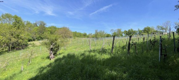 11 rooms Villa in Dobling, Austria No. 203187 24